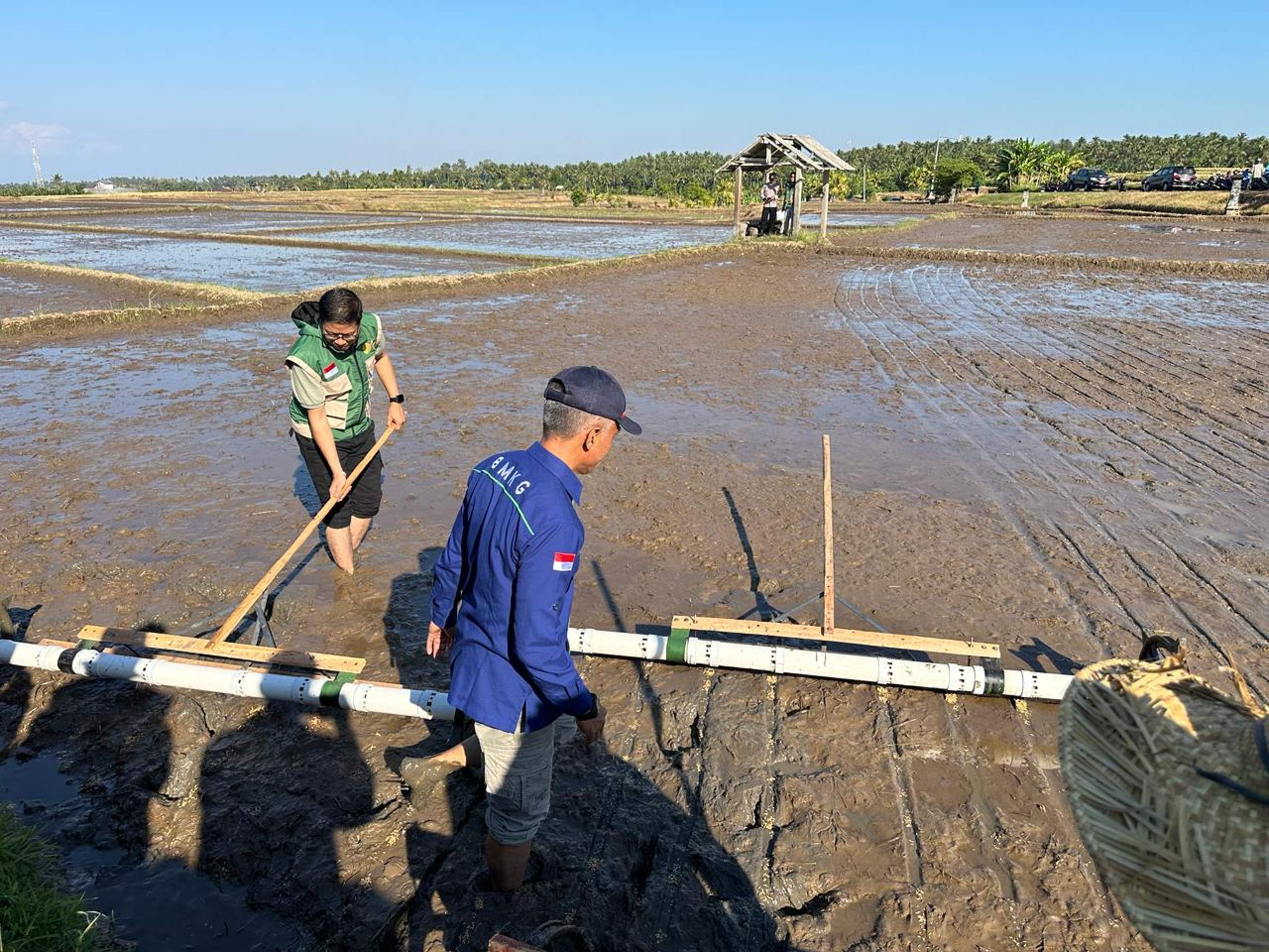 Stasiun Klimatologi Bali Dukung Pengembangan Pertanian Modern pada Kegiatan Tanam Bersama Padi PM-AAS di Desa Penyaringan, Jembrana